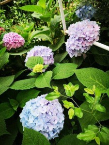 万华镜5完整攻略：轻松解锁全结局与隐藏要素，享受沉浸式视觉小说体验